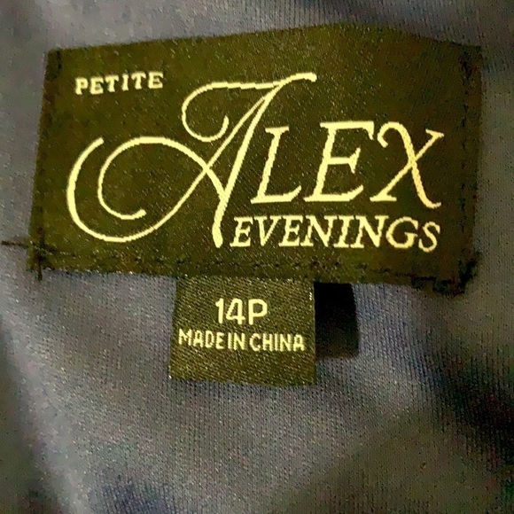 NEW ALEX EVENING Illusion Jewel Neck Mesh Gown - Picture 11 of 11